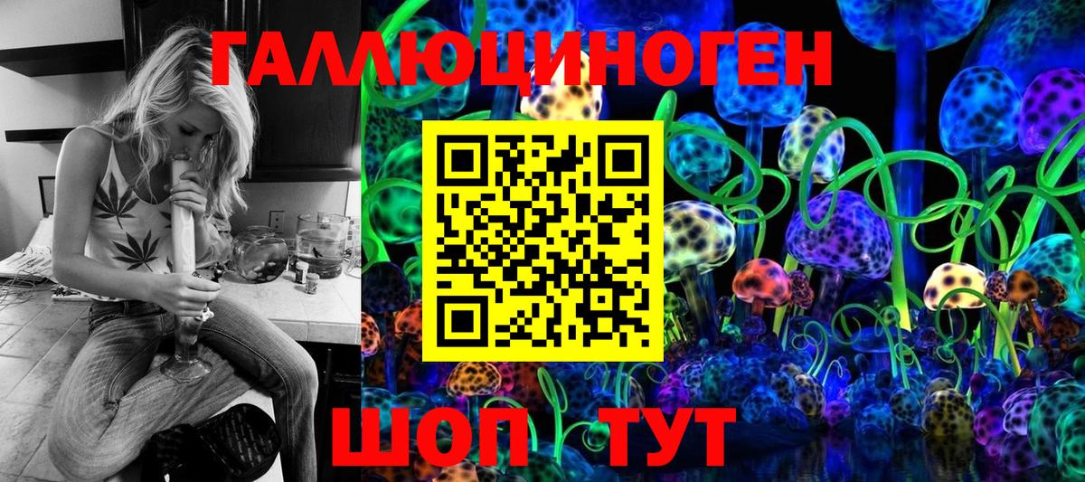 Вязьма  где купить наркоту  Вход с VPN  Псилоцибиновые грибы Psilocybe 